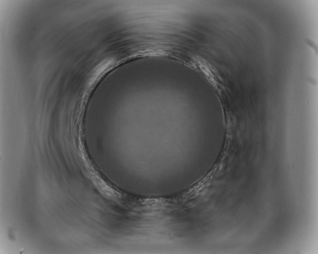 X0000096680145200802051253