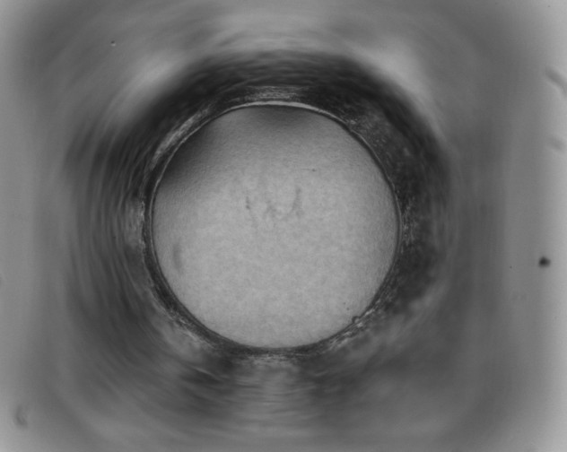 X0000096680146200802051253