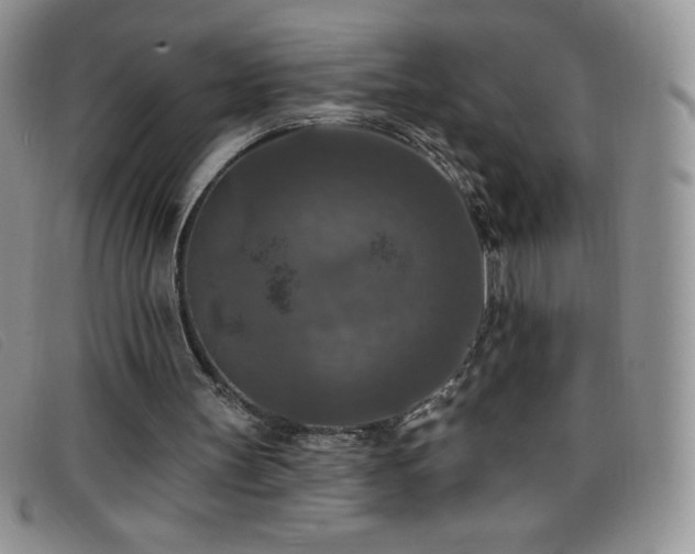 X0000096680147200802051253