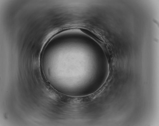 X0000096680148200802051253