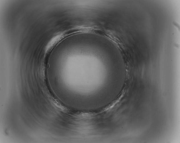 X0000096680149200802051253