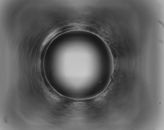 X0000096680150200802051253