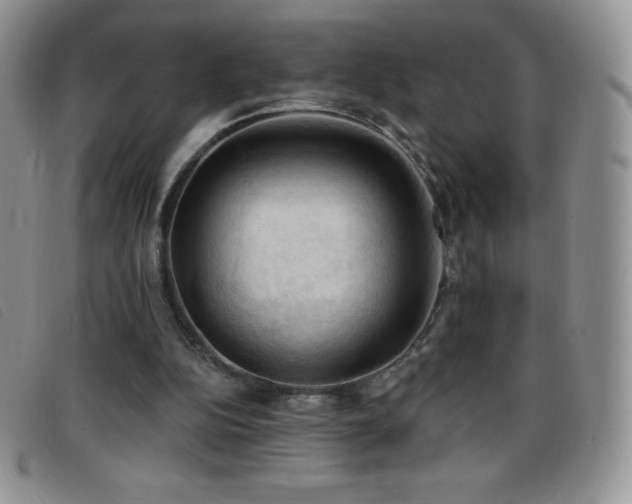 X0000096680152200802051253