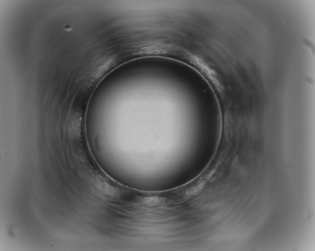 X0000096680153200802051254