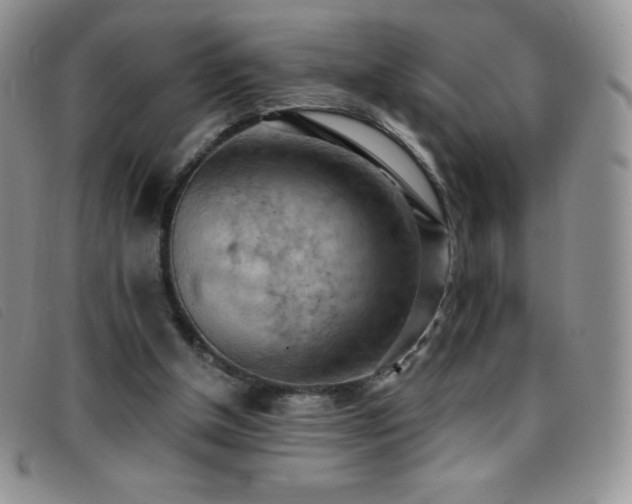 X0000096680154200802051254