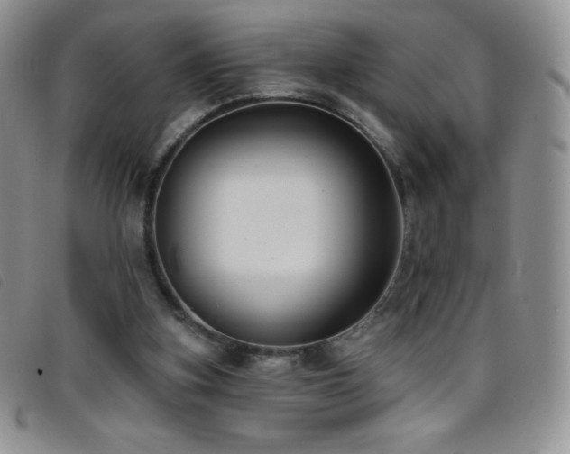 X0000096680155200802051254