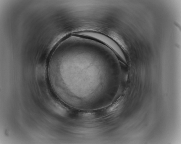 X0000096680156200802051254