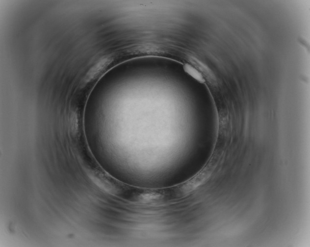 X0000096680158200802051254