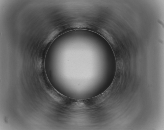 X0000096680159200802051254