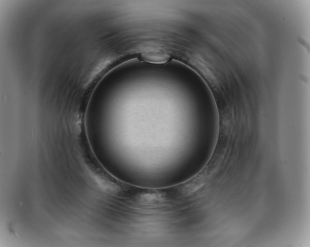 X0000096680160200802051254