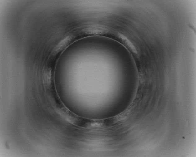 X0000096680163200802051254