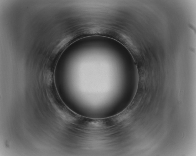 X0000096680164200802051254