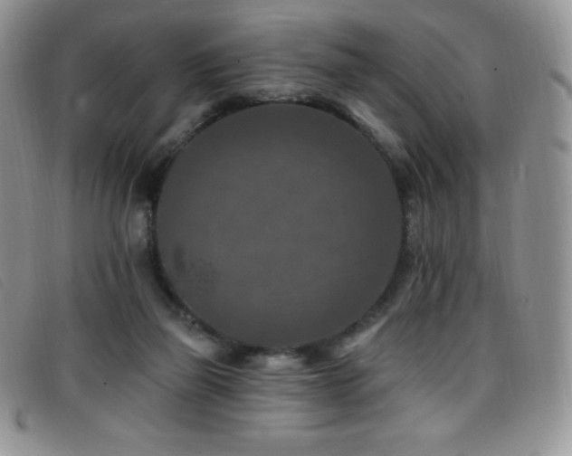 X0000096680165200802051254