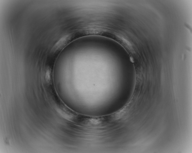 X0000096680166200802051254