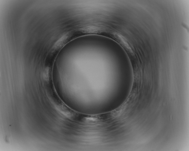 X0000096680167200802051254