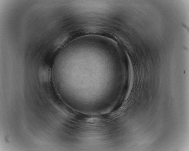 X0000096680168200802051254