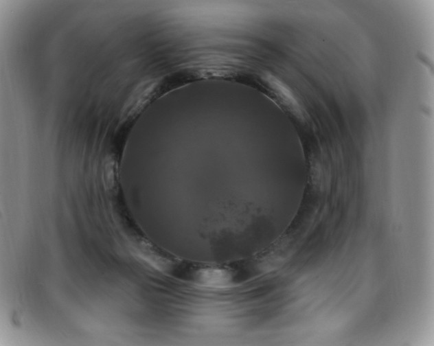 X0000096680169200802051254