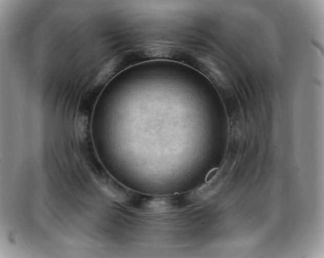 X0000096680171200802051254