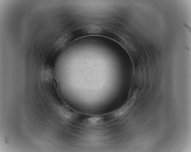 X0000096680172200802051254