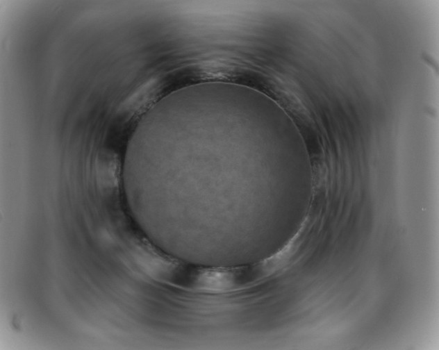 X0000096680174200802051254