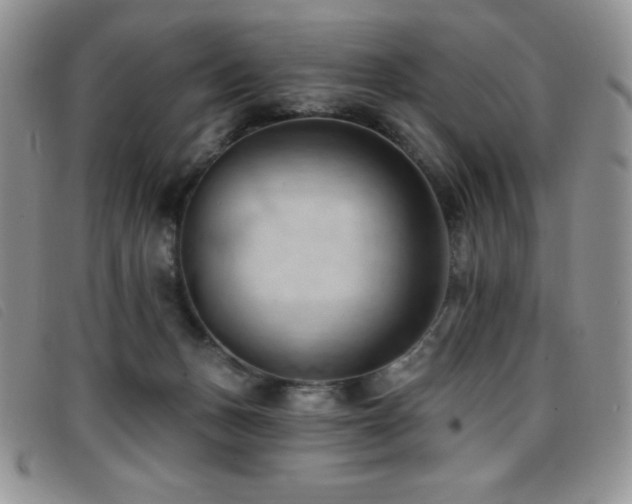 X0000096680175200802051254