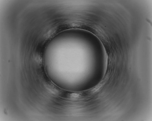 X0000096680176200802051254