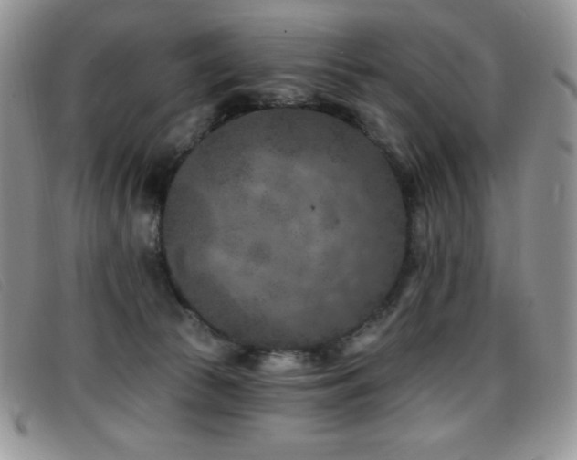 X0000096680177200802051254