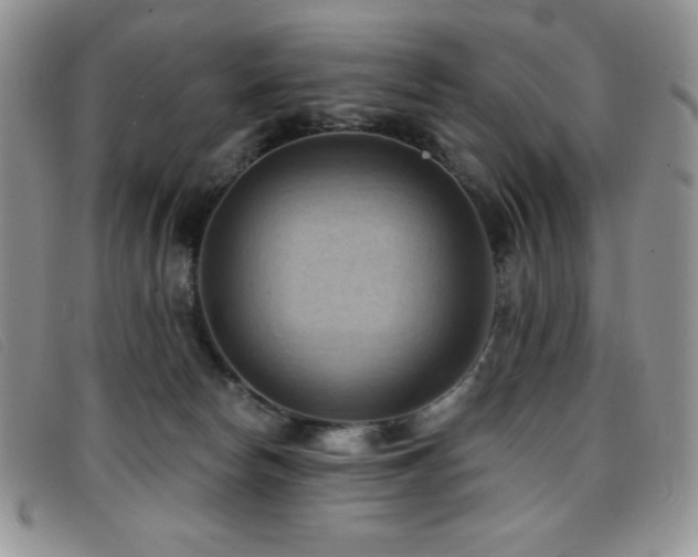 X0000096680178200802051254