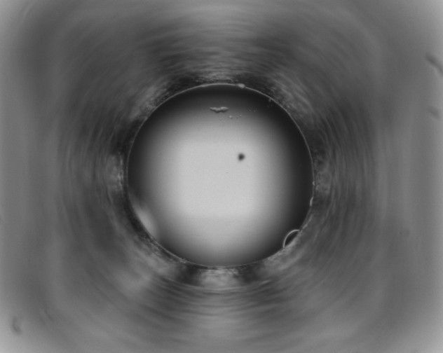 X0000096680179200802051254