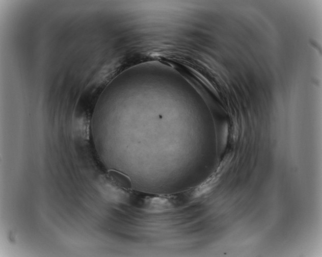 X0000096680180200802051254