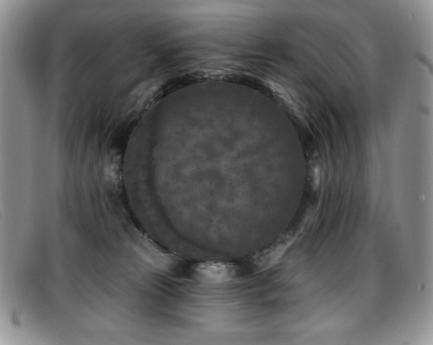 X0000096680181200802051254