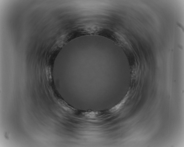X0000096680182200802051254