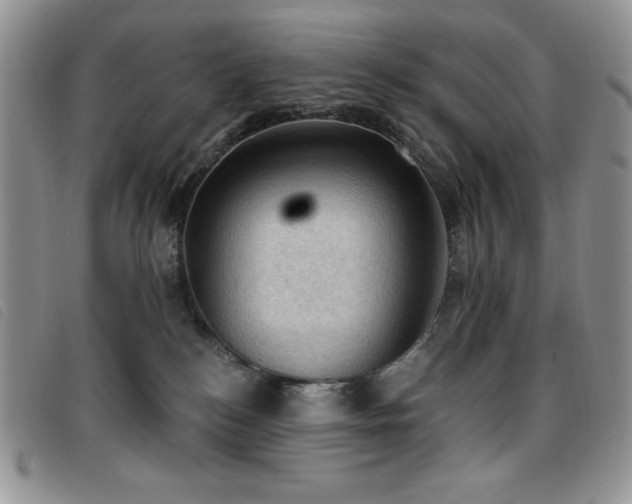 X0000096680184200802051254