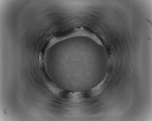 X0000096680186200802051254