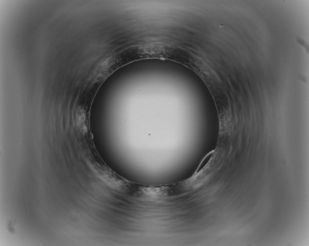 X0000096680187200802051254