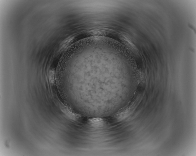 X0000096680189200802051254