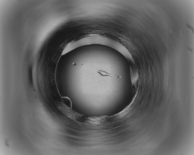 X0000096680190200802051254