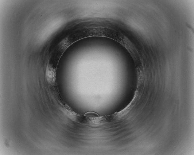 X0000096680191200802051254