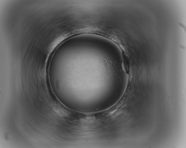 X0000096680196200802051253