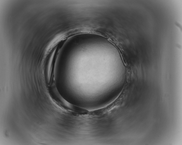 X0000096680197200802051253