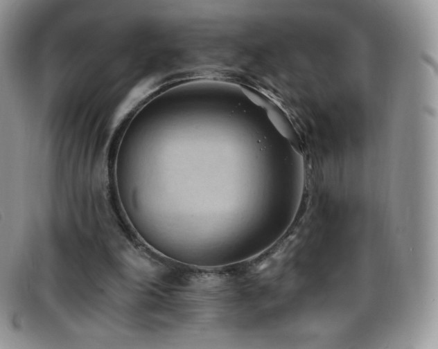 X0000096680198200802051253