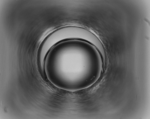 X0000096680199200802051253