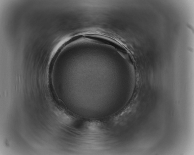 X0000096680200200802051253
