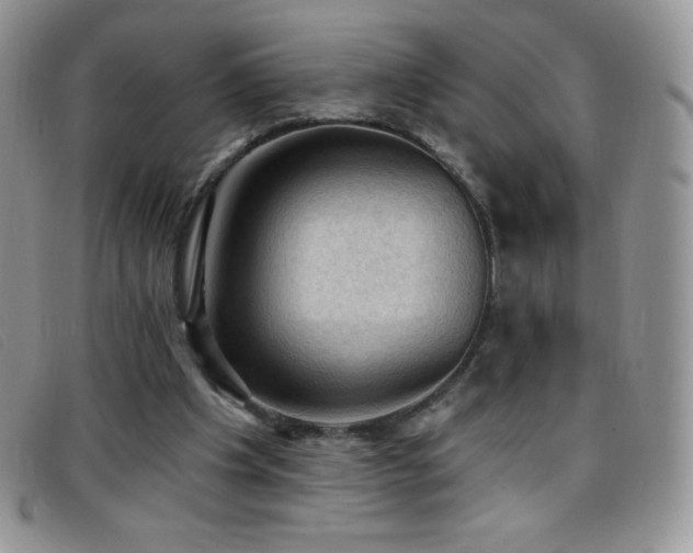 X0000096680201200802051253