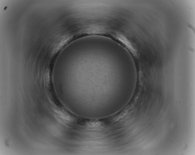 X0000096680202200802051253