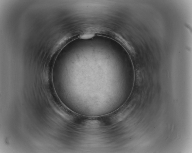 X0000096680203200802051253