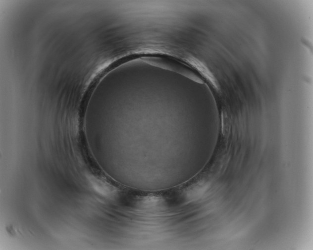 X0000096680204200802051253