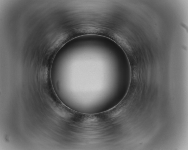 X0000096680206200802051253