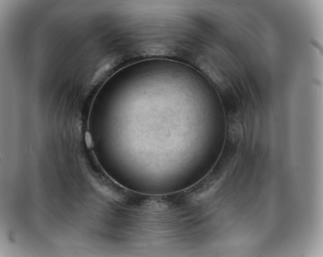 X0000096680207200802051253