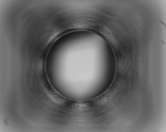 X0000096680208200802051253
